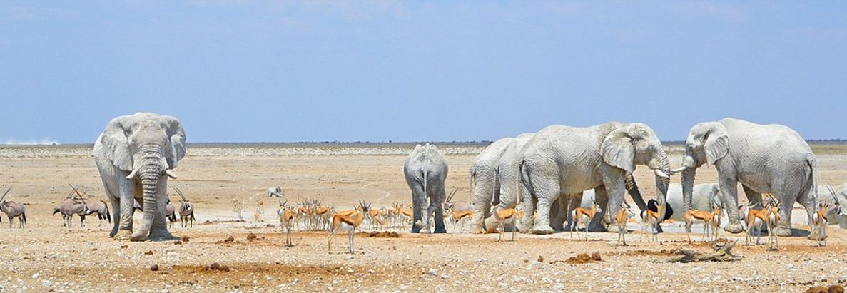 Sandwhich Harbour Namibia